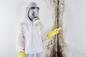 Best Industrial Mold Remediation  in Leonville, LA